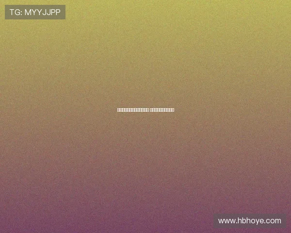 汉堡有望租借签下武什科维奇 热那亚也在关注该球员